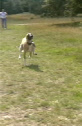 Holly Has A Run.wmv